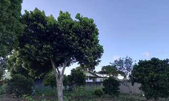 Imagem 2: Lote 92B/com casa - Borda do Campo/ São José dos Pinhais