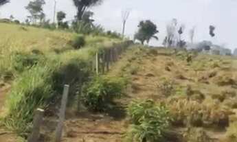 Imagem 6: FAZENDA Á VENDA M PACAJÁ - PA - 2.758,8 HECTARES (DUPLA APTIDÃO