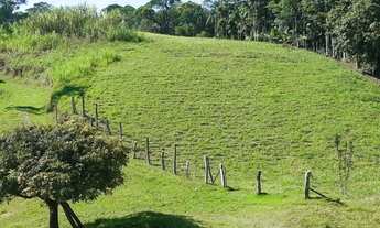 Imagem: JARAGUá DO SUL - Sítio - Tifa Martins