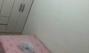 Imagem 6: Alugo apartamento 2 quartos por temporada