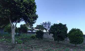 Imagem 4: Lote 92B/com casa - Borda do Campo/ São José dos Pinhais
