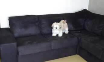 Imagem 3: Apartamento residencial à venda, Jardim Marajoara, São Paulo - AP1782