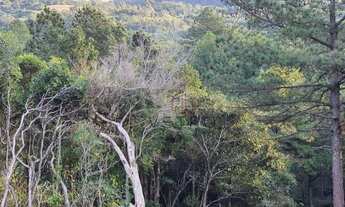 Imagem 5: Sítio na Colônia Santa Bernardina em Pelotas!