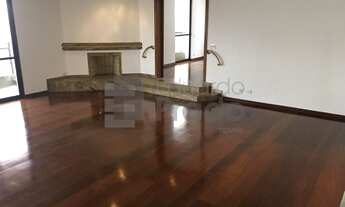 Imagem: SãO PAULO - Padrão - Paraíso