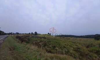 Imagem 6: Terreno na RS 235 em São Francisco de Paula!