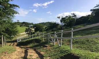 Imagem 5: LINDO SITIO PERFEITO P CRIAR E TREINAR CAVALOS