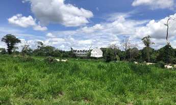 Imagem 6: FAZENDA RURAL em PALMAS - TO, CENTRO (TAQUARALTO