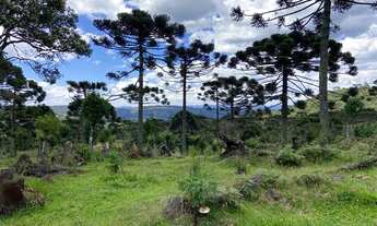 Imagem 3: Área Rural 10 hectares/ Imóvel Rural