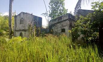 Imagem 4: Vendo excelente fazenda em taperoa