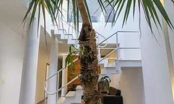 Imagem 3: CASA ASSOBRADADA - PLANALTO PAULISTA - SP