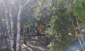 Imagem 5: Terreno 5460 m² - Dos Grilos - Ibiúna/SP