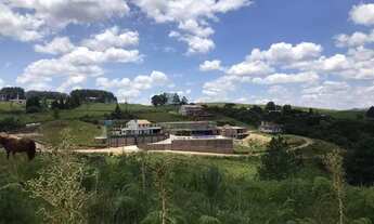 Imagem 7: Terreno na Barragem do Salto em São Francisco de Paula!