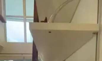 Imagem 5: Apartamento para aluguel e venda possui 74 metros, 1 suíte, 2 vagas em Moema, SP