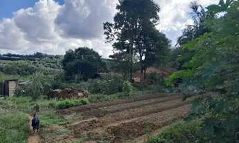 Imagem: Sítio rural, 2.400 m2. Família desmembrando