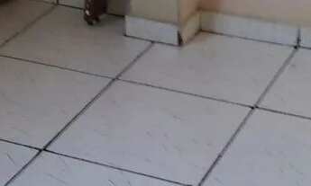 Imagem 5: Aluguel Casa com 1 dormitório