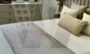 Imagem 5: Orquídeas do Sul