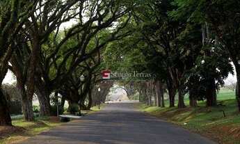 Imagem 5: Terreno à venda, 1557 m² por R$ 1.200.000,00 - Serra Azul - Itupeva/SP
