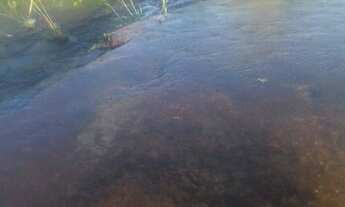 Imagem 7: FAZENDA À VENDA NO RIO SONO - TO - 2.863,28 HECTARES (DUPLA AP´TIDÃO