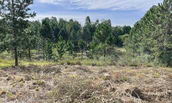 Imagem: TERRENO CONDOMÍNIO QUATRO BARRAS - PR