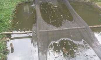 Imagem 6: Chácara com 1 dormitório à venda, 2000 m² por R$ 230.000 - Chapeu Duvas - Juiz de Fora/MG