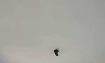 Imagem 7: Casa com 2 dormitórios para alugar, 60 m² por R$ 850,00/mês - Jardim Bela Fonte - Porto Fe