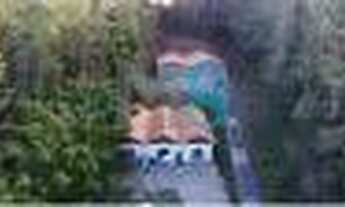 Imagem 3: Chácara com 3 dormitórios à venda, 100000 m² por R$ 20.000.000,00 - Botujuru - Mogi das Cr