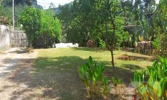 Imagem 4: São Sebastião - Terreno Padrão - Sertão de Cambury