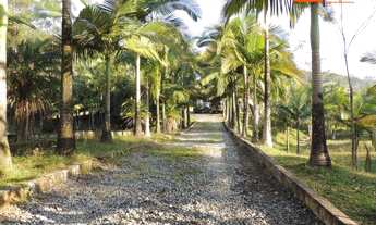 Imagem 4: Sitio, 04 dormitórios + 02 suítes, churrasqueira, Itajaí/SC