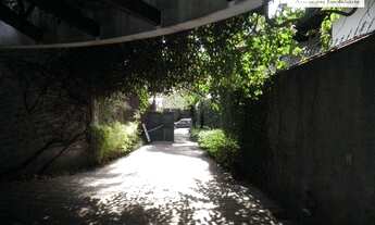 Imagem 6: Casa comercial para locação, Jardim das Paineiras, Campinas