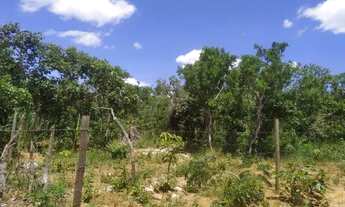 Imagem: Terreno 1500 metros