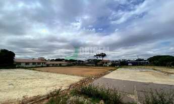 Imagem 3: Terreno em Parolin - Curitiba