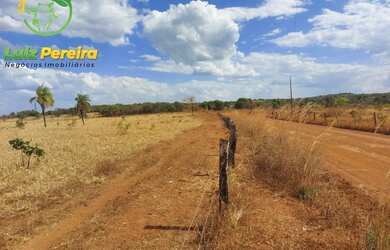 Imagem 14: FAZENDA À VENDA NO VALE DO ARAGUAIA - TO - 1.462 HECTARES (DUPLA APTIDÃO