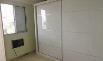 Imagem 7: Araçatuba - Apartamento - Jardim América