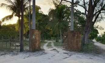 Imagem 3: GRANJA SETOR INDUSTRIAL MACAÍBA