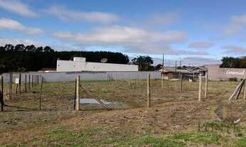 Imagem 4: TERRENO A VENDA EM LAGES