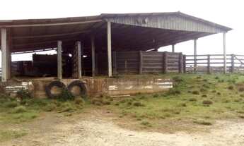 Imagem 7: Excelente oportunidade