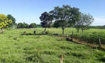 Imagem 6: Vendo sitio 135 mil aceito carro no negocio!