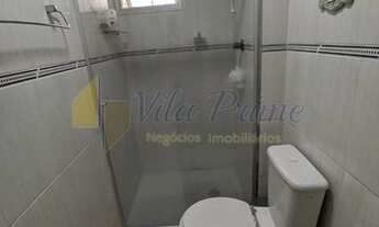 Imagem 5: Venda de Apartamentos / Padrão na cidade de São Paulo