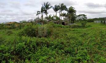 Imagem 3: Terreno para Venda em Porto Grande Araquari-SC - 745