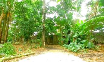 Imagem: BELéM - Terreno Padrão - Parque Verde