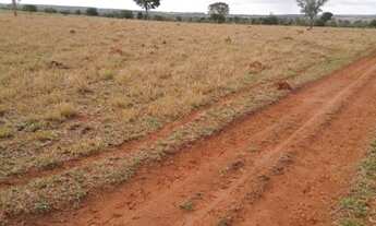 Imagem: Fazenda 51 alqueires/Jussara-GO