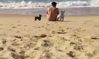 Imagem 5: CASA FRANCESA PISCINA CONDOMÍNIO