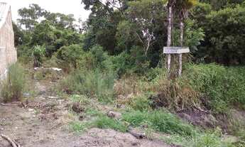 Imagem 2: Terreno para Venda em Ervino São Francisco do Sul-SC - 1217