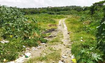 Imagem 3: Vendo excelente Área na PE-15 / OLINDA na pista