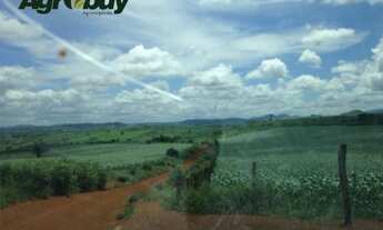 Imagem 3: Fazenda no Sul do Pará Com 2440 Alqueires