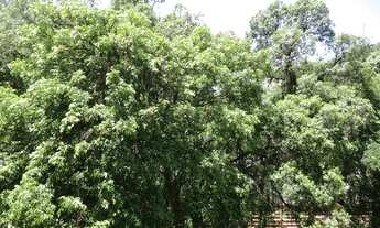 Imagem 2: RUA LOPES TROVÃO EM FRENTE CAMPO DE SÃO BENTO-EXCELENTE LOCALIZAÇÃO