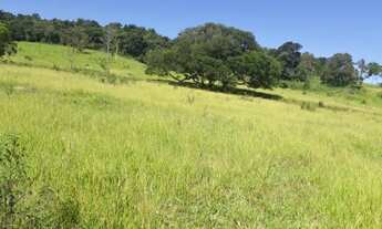 Imagem: Terreno 6 Hectares em Passa Tempo MG