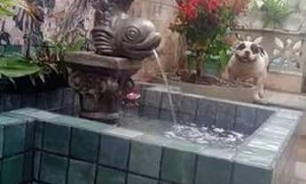 Imagem 9: Casa em Stella Maris , Salvador , aceita financiamento e permuta por casa de maior valor