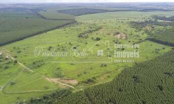 Imagem 2: 32 alqueires no Rio Verde próximo ao aeroporto Bauru-SP