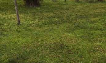 Imagem 2: Fazenda/Sítio/Chácara para venda possui 20000 m2 e pq casa com 1 quarto e muito verde